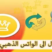 نقل محادثات الواتس الاصلي الى واتساب الذهبي